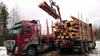 Ennätysmäärä puutavara-autoja ja varusteita Powerissa.