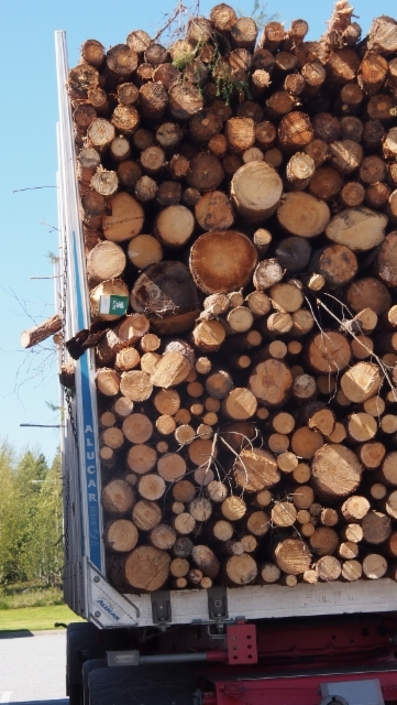 Tiiviiksi lastattu kuitukuorma.