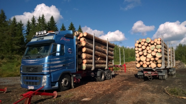 68 tonnia kokonaispainoa ja yli 50.000 kg puuta.