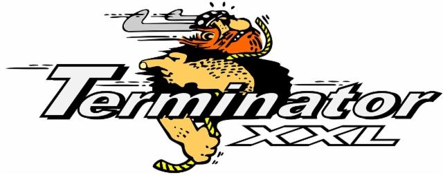 aaa_terminatorviikinki