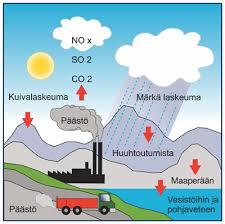 Maapallon metsät.......