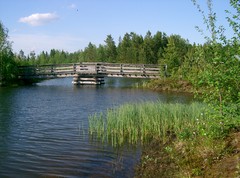 Saaresta sillalle