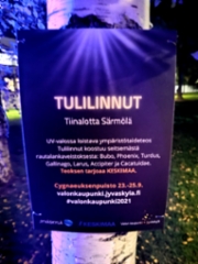 Tulilinnut Cygnaeuksenpuistossa, Jyväskylän valonkaupunki 2021.
