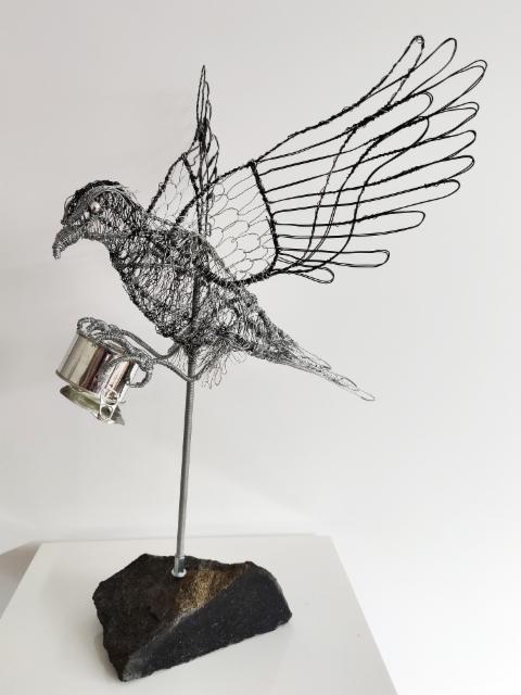 Nisus - Against the pollution 2023