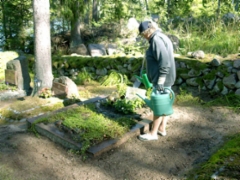 maininki2003_25