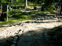 maininki2003_22