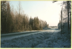 road_to_school_house_in_koyhanpera_1