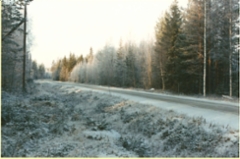 road_to_school_house_in_koyhanpera_2