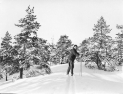 eero_at_hellas1967
