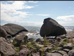 shoreline_views_by__the_sauna
