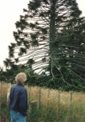 eero_11