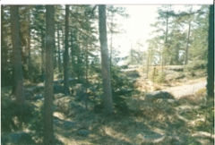 hellas_005