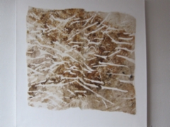 Pielus