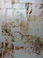 Pergamentti