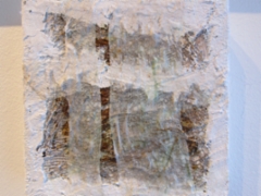 osa Piena