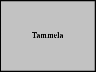 tammela