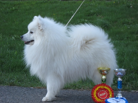 fido17kk