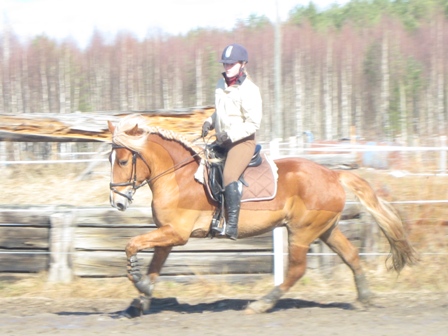 jaanivasenlaukka3