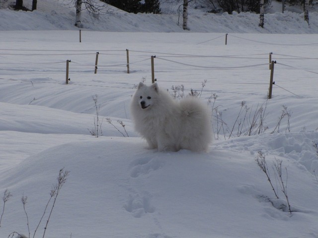 fido2.15