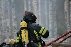 kuva 183