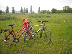 balaton 5