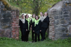 22_stemmat_1b