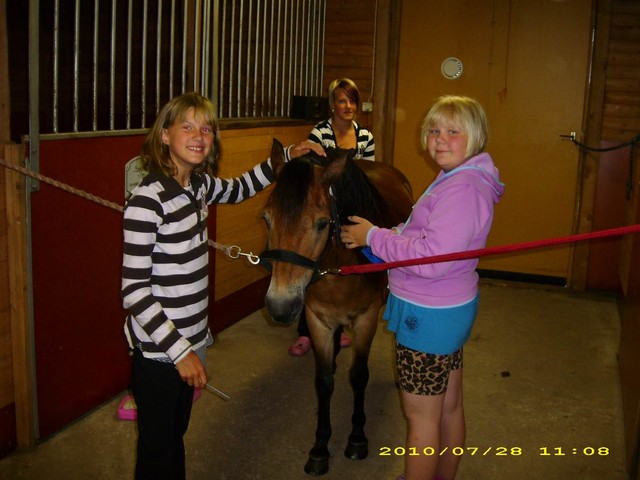 Hevosten hoitoa alkeisleirillä Tiia, Heini, Roosa ja Pätkä -poni