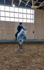 Lina ja V&auml;&auml;peli 