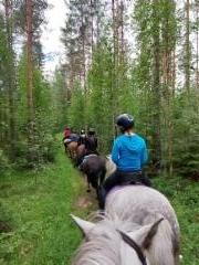 Mets&auml;polulla