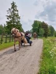 K&auml;rryttely&auml;