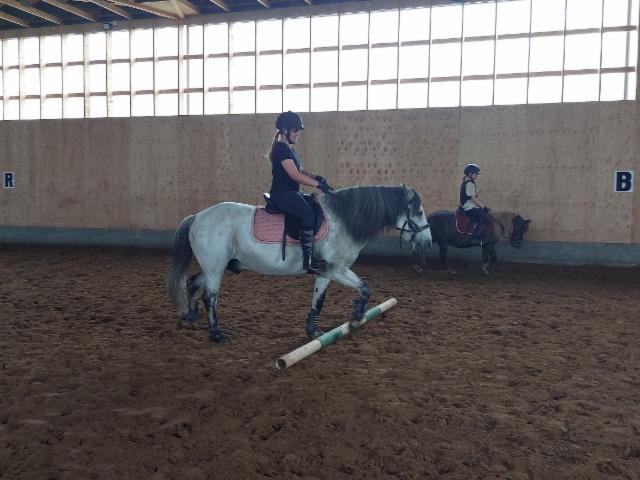 Aida ja Samu Aida ja Samu