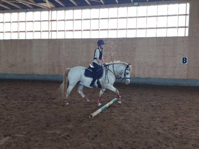 Sini ja Niksu Sini ja Niksu