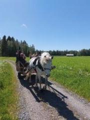 K&auml;rryajelulla