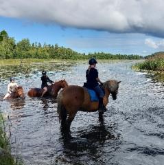 merell&auml;