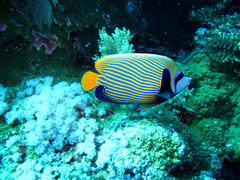 img_4368_new