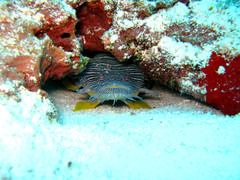 img_1578_new