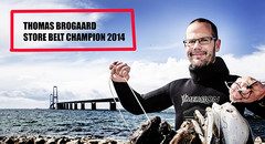 storebeltchampion2014ssss