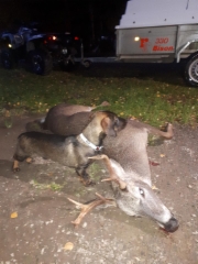 img-20181022-wa0000