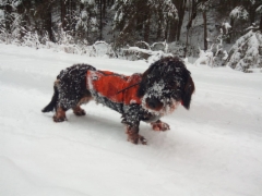 img-20190105-wa0004