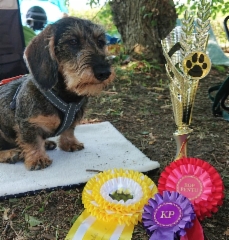 img_20190727_202527_294