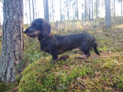 img-20190917-wa0008