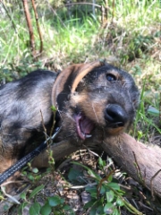 img-20190518-wa0008