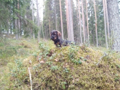 img-20190430-wa0002