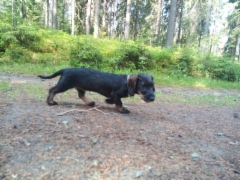 img-20190619-wa0001