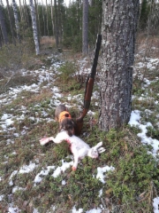 Ellu Elegia ja ensimm&auml;inen j&auml;nis