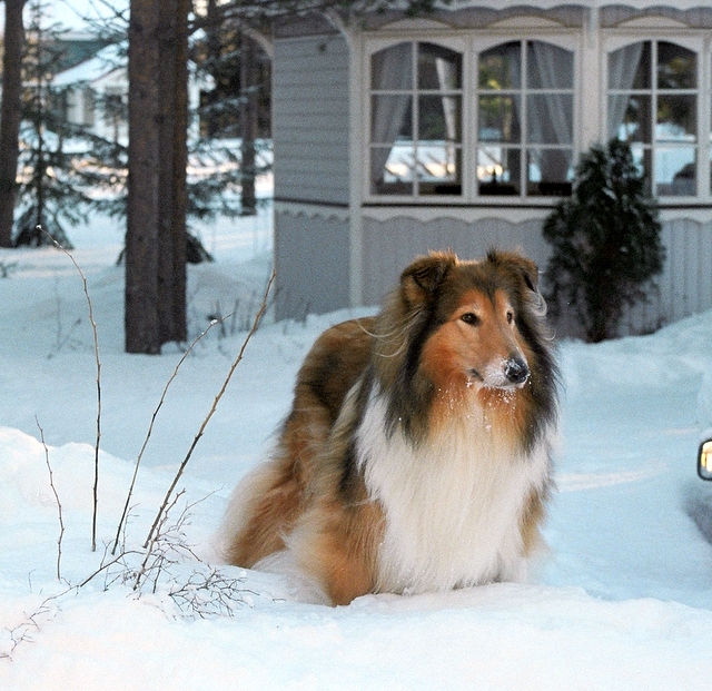 Zera 5 vuotta tänään